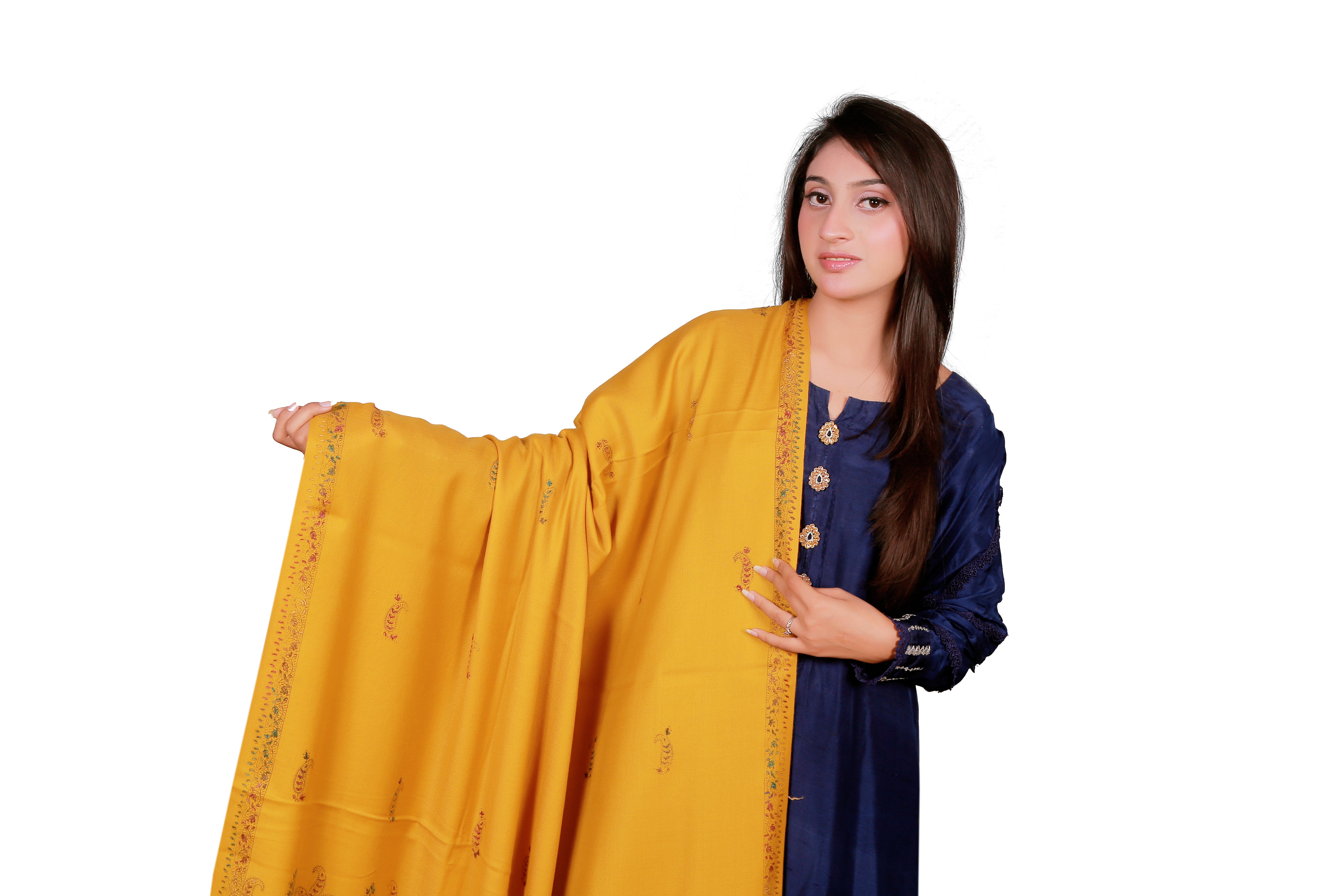 Elegant Kashmiri Fine Wool Shawl
