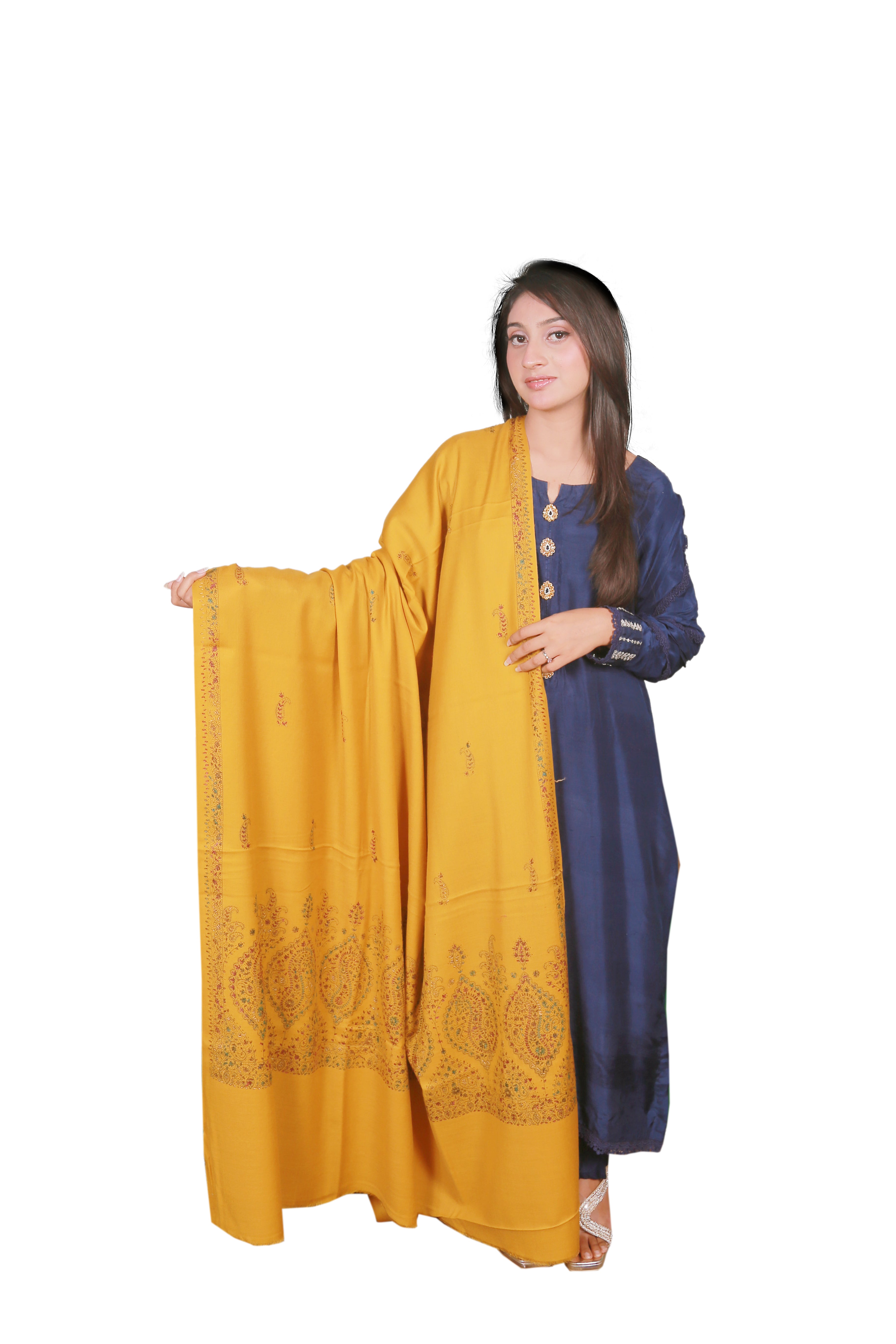 Elegant Kashmiri Fine Wool Shawl